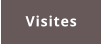 Visites